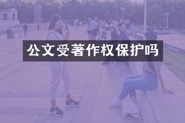 公文受著作权保护吗