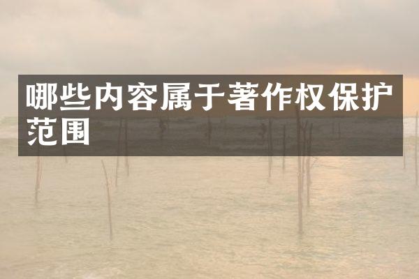 哪些内容属于著作权保护范围