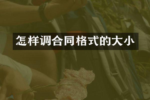 怎样调合同格式的大小