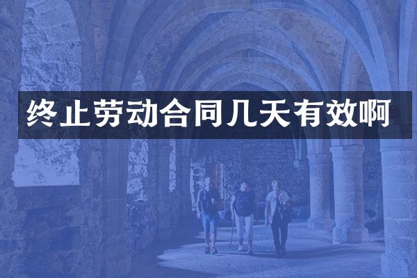 终止劳动合同几天有效啊