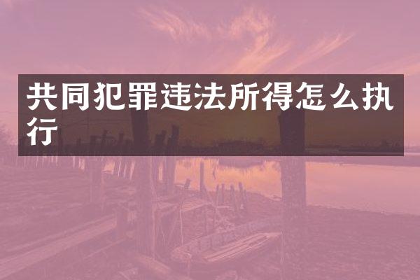 共同犯罪违法所得怎么执行