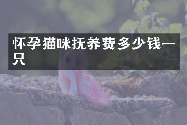 怀孕猫咪抚养费多少钱一只
