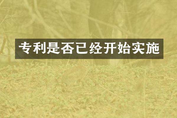 专利是否已经开始实施