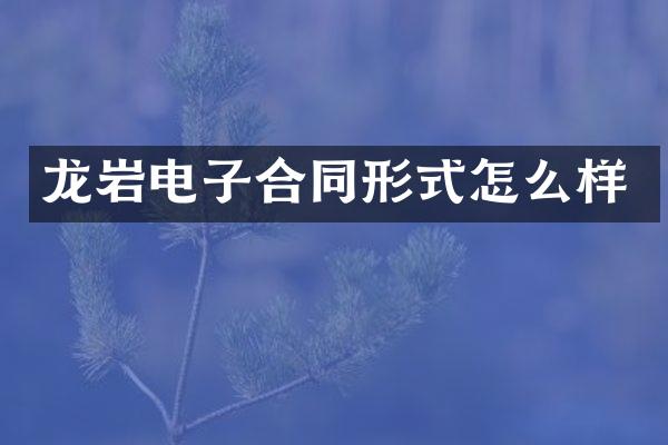 龙岩电子合同形式怎么样