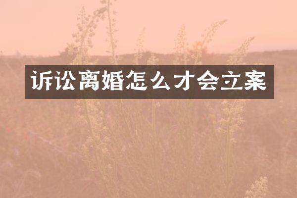 诉讼离婚怎么才会立案