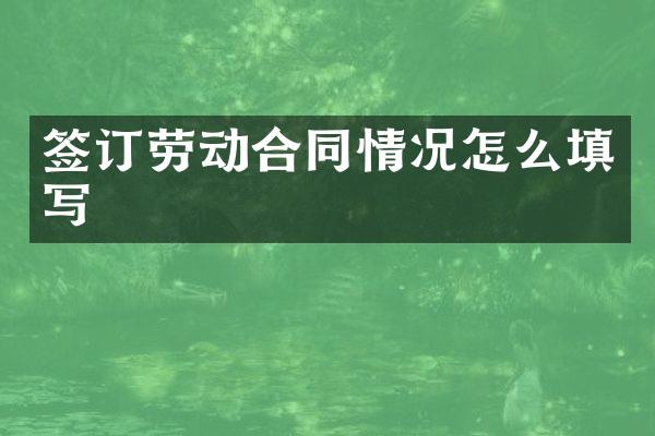 签订劳动合同情况怎么填写