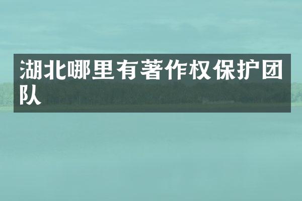 湖北哪里有著作权保护团队