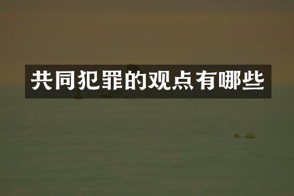 共同犯罪的观点有哪些