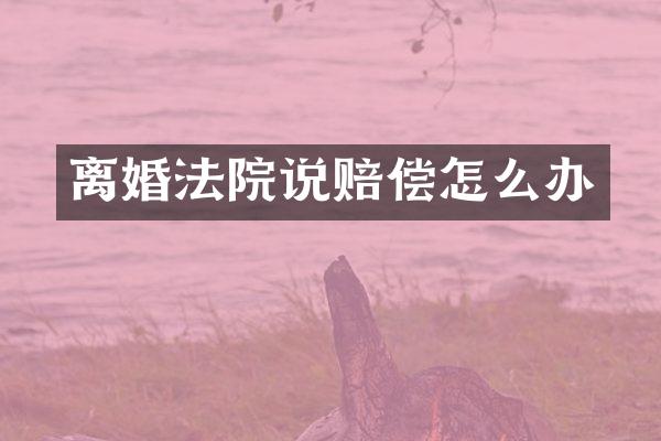 离婚法院说赔偿怎么办