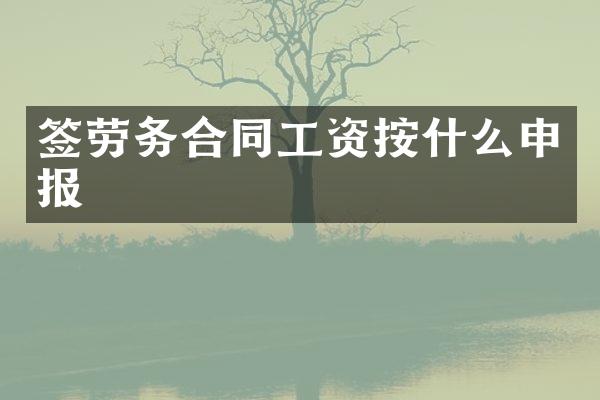 签劳务合同工资按什么申报