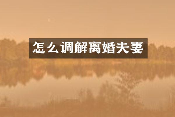 怎么调解离婚夫妻