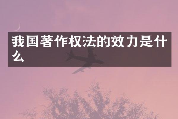 我国著作权法的效力是什么