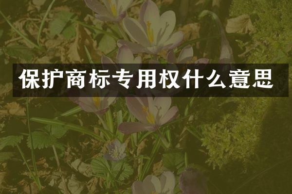 保护商标专用权什么意思