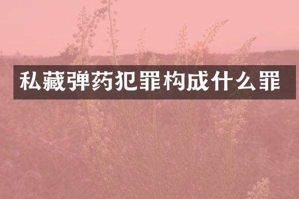 私藏弹药犯罪构成什么罪