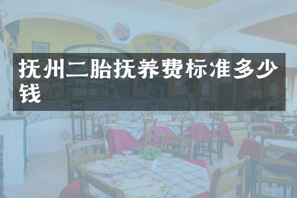 抚州二胎抚养费标准多少钱