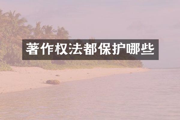 著作权法都保护哪些