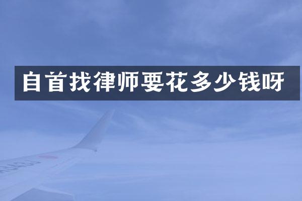 自首找律师要花多少钱呀