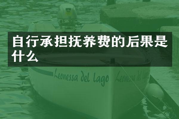 自行承担抚养费的后果是什么