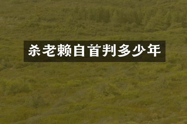 杀老赖自首判多少年
