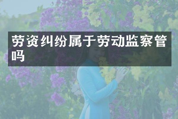 劳资纠纷属于劳动监察管吗