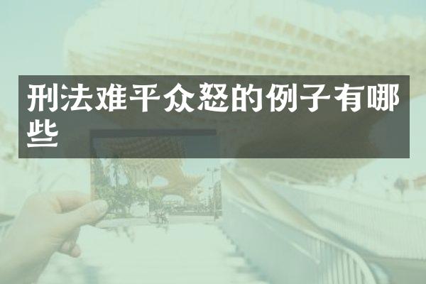刑法难平众怒的例子有哪些