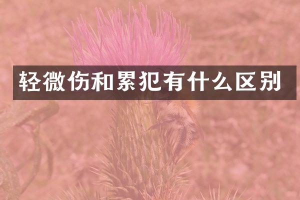 轻微伤和有什么区别