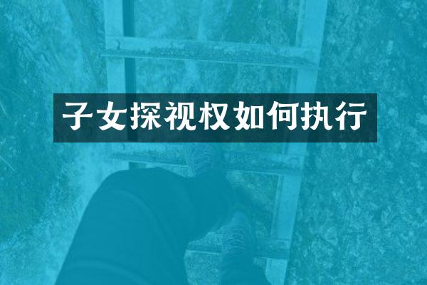 子女探视权如何执行