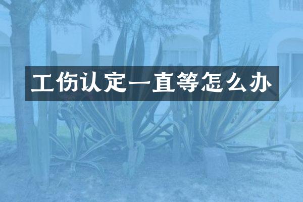 工伤认定一直等怎么办