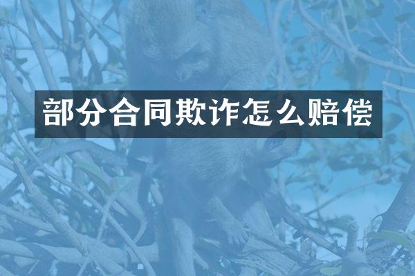 部分合同欺诈怎么赔偿