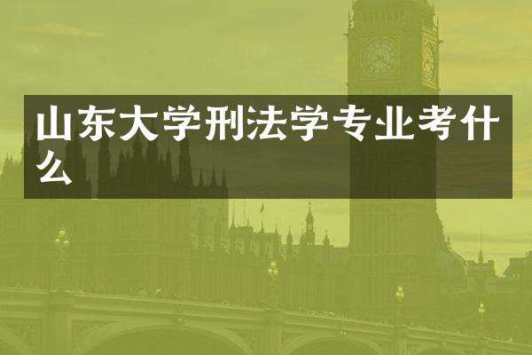 山东大学刑法学专业考什么