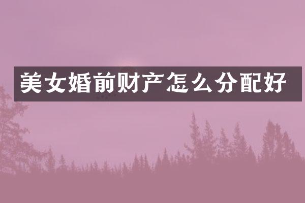 婚前财产怎么分配好