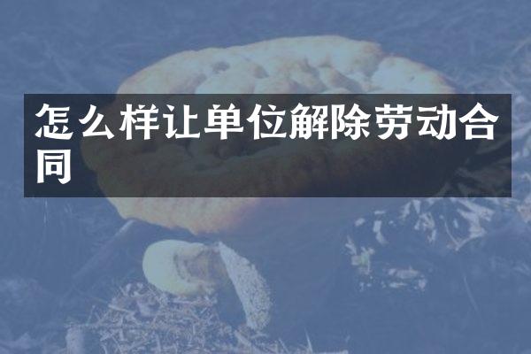 怎么样让单位解除劳动合同