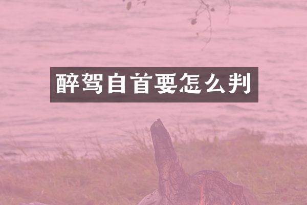 醉驾自首要怎么判