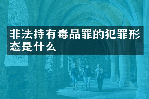 非法持有罪的犯罪形态是什么