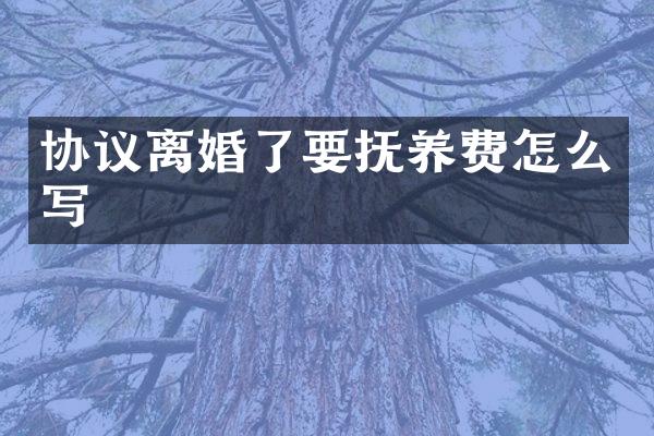 协议离婚了要抚养费怎么写