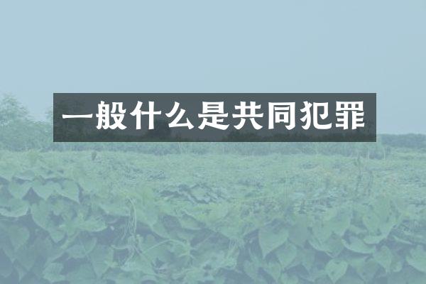 一般什么是共同犯罪