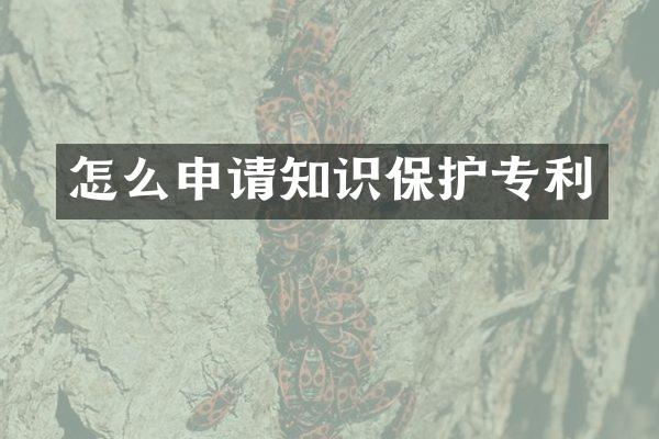 怎么申请知识保护专利
