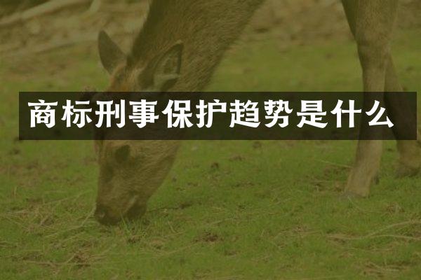 商标刑事保护趋势是什么