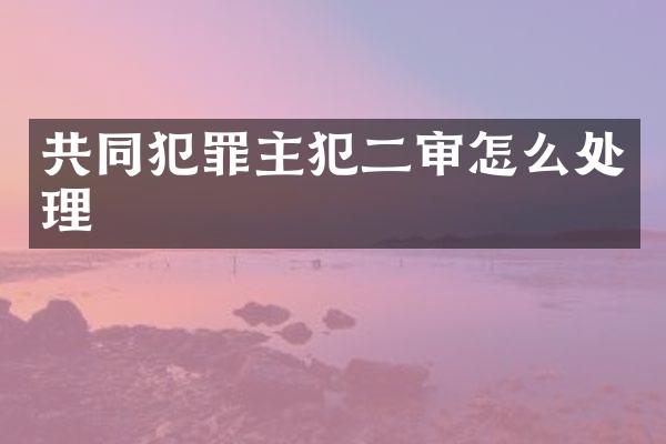 共同犯罪二审怎么处理