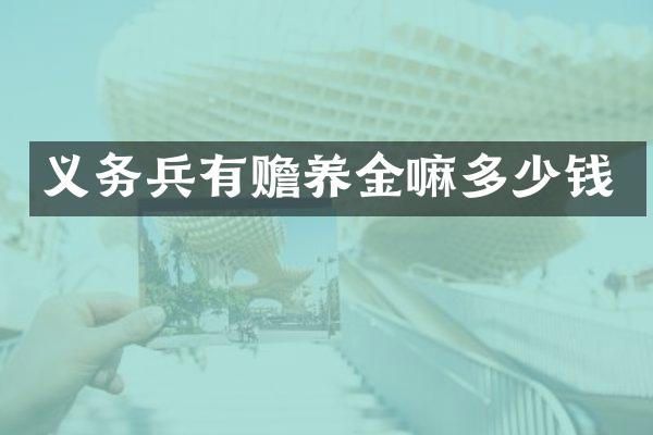 义务兵有赡养金嘛多少钱
