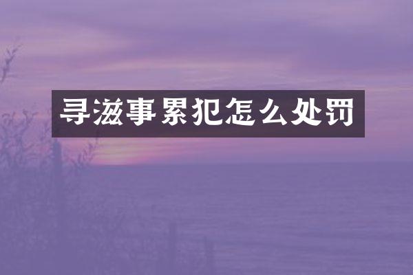 寻滋事怎么处罚