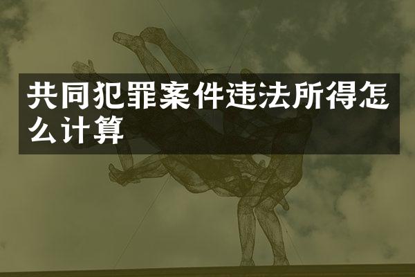 共同犯罪案件违法所得怎么计算