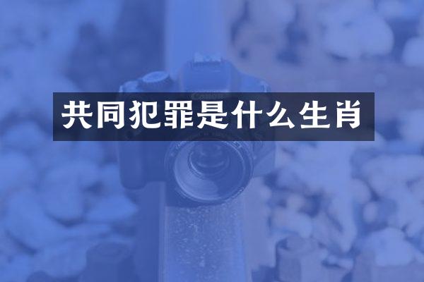 共同犯罪是什么生肖