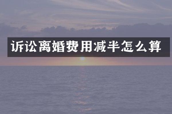 诉讼离婚费用减半怎么算