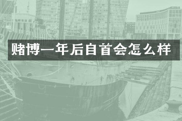 一年后自首会怎么样