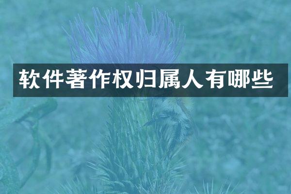 软件著作权归属人有哪些