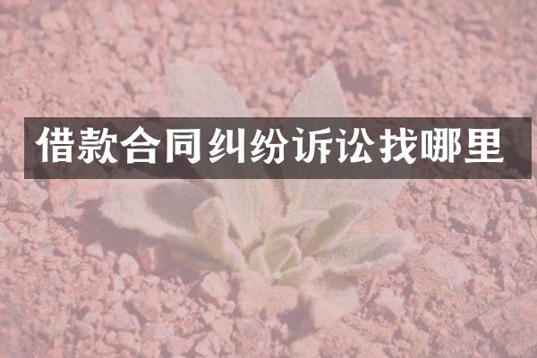 借款合同纠纷诉讼找哪里