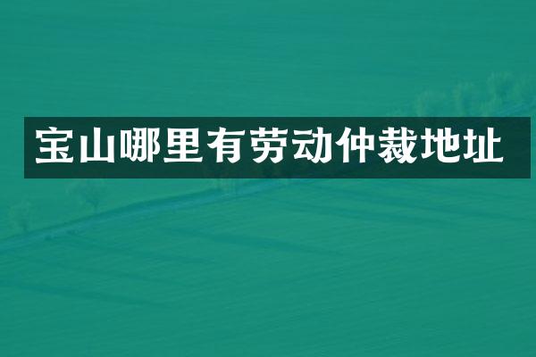 宝山哪里有劳动仲裁地址