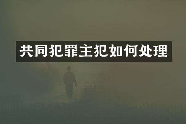 共同犯罪如何处理