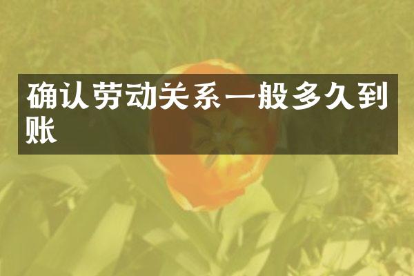 确认劳动关系一般多久到账
